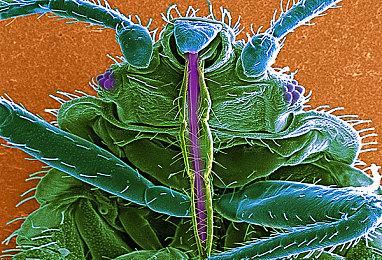 《Omega Strikers》将添加主机版本 4月27日上线